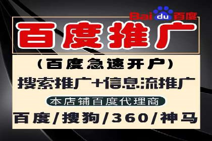 SEM托管服务成功案例：让广告投放更精准、更高效